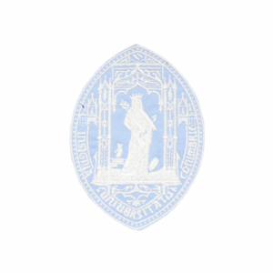 Emblema Ensino Estabelecimento Rainha Santa Azul Claro