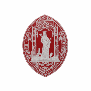 Emblema Ensino Estabelecimento Rainha Santa Vermelho