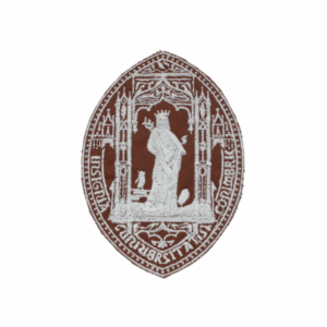 Emblema Ensino Estabelecimento Rainha Santa Castanho