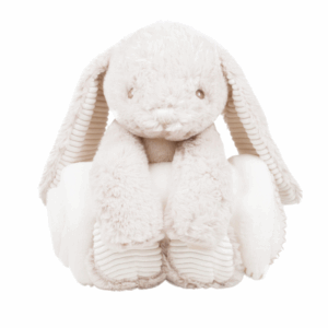 Coelho de Peluche e Cobertor