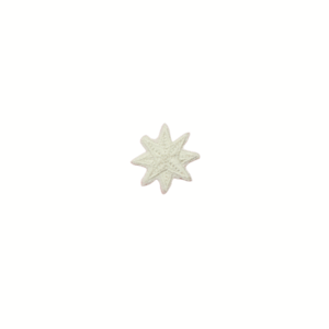 Insignias de estrella blanca de Navidad viva