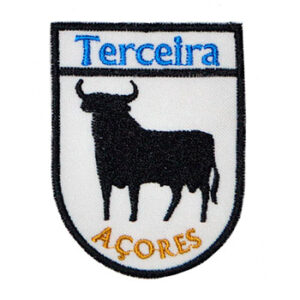 Terceira Azores toro 2