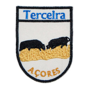 Toros Terceira Azores