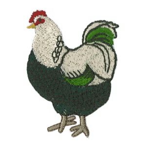 Insignias de pollo de niño vivo