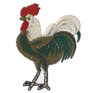 Insignias de gallo niño vivo