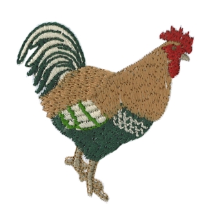 Insignias de gallo niño vivo