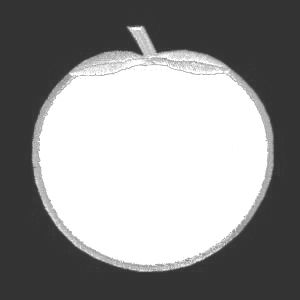 Nature Emblem Large Orange Fruit