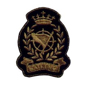 Emblema Institucional Brasão ouro