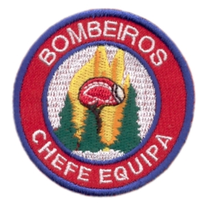 Emblema Institucional Bombeiros Chefe Equipa 2