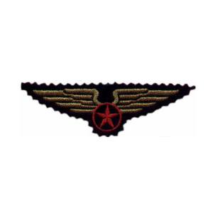 Emblema Institucional Brasão Asas laranja