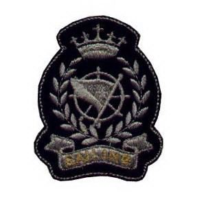 Emblema Institucional Brasão prata