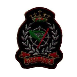 Emblema Institucional Brasão 2