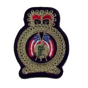 Emblema Institucional Brasão Bandeira