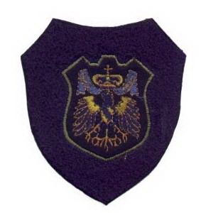 Emblema Institucional Brasão Chinês azul