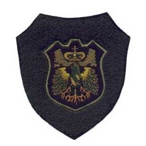 Emblema Institucional Brasão Chinês verde