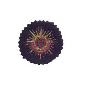 Emblema Institucional Brasão Estrela Ouro