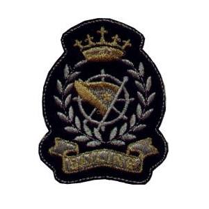 Emblema Institucional Brasão