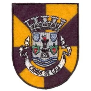 Emblemas Locais Cidade Gaia