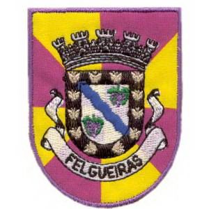 Emblemas Locais Cidade Felgueiras