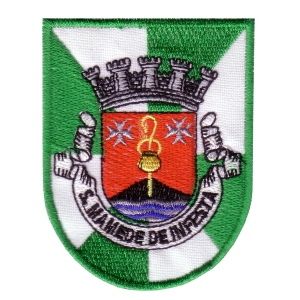 Emblemas Locais Cidade S. M. de Infesta