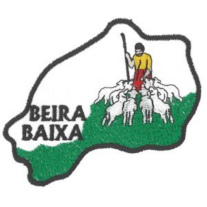 Emblem Region Map Beira Baixa