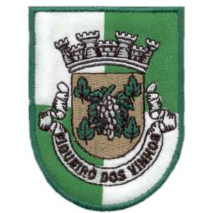 Emblema de Vila Figueiró dos Vinhos