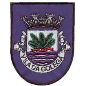 Emblema de Vila Golegã
