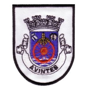 Emblema de Vila Avintes