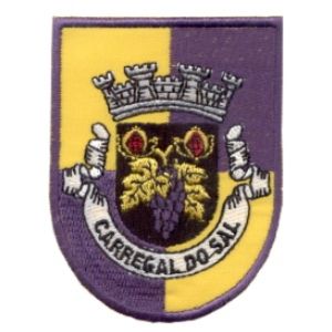 Emblema de Vila Carregal do Sal