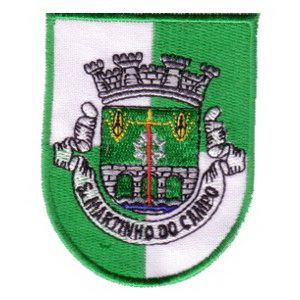 Emblema Vila S.Martinho Campo-Stº Tirso